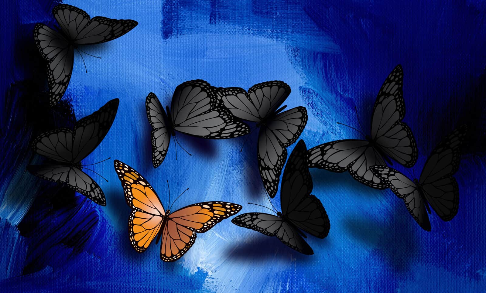 Black Butterflies