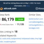 ADCook.com website Alexa Ranking 01/13/22 - 87,179 Global